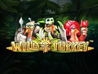 Wild Turkey screenshot