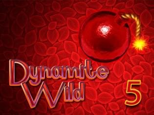 Dynamite Wild 5 screenshot